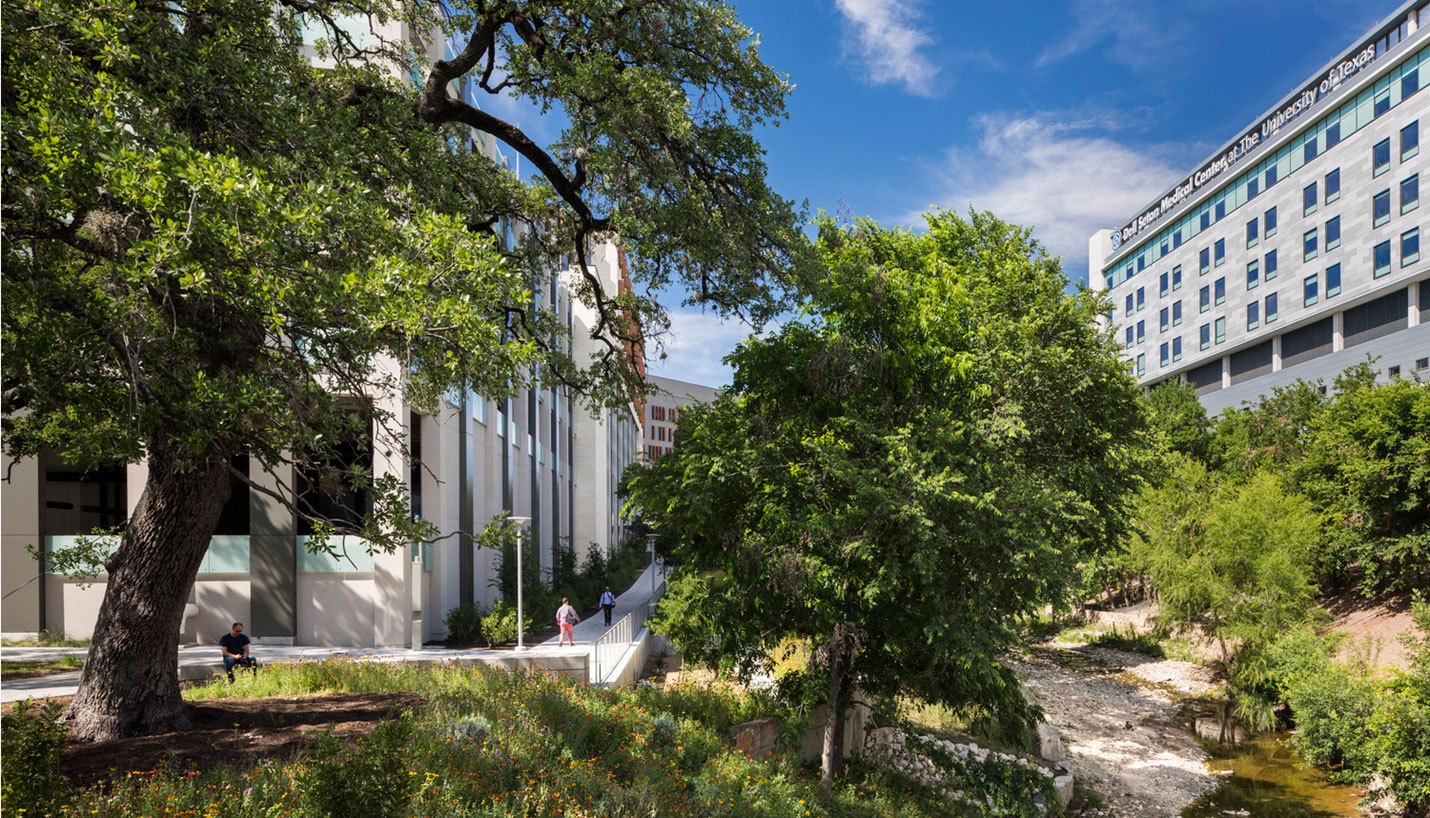 The University of Texas at Austin Medical District Master Plan / Austin, TX - © Albert Vecercka - ESTO Photographics